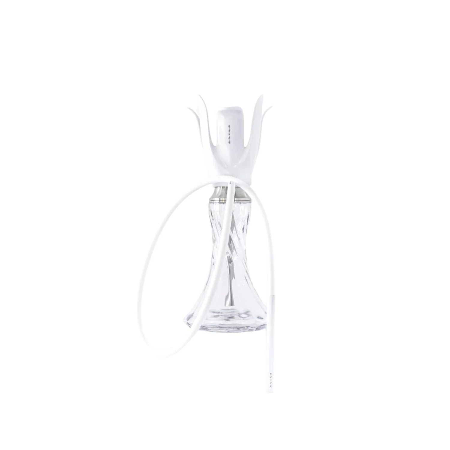 anima-tulip-white