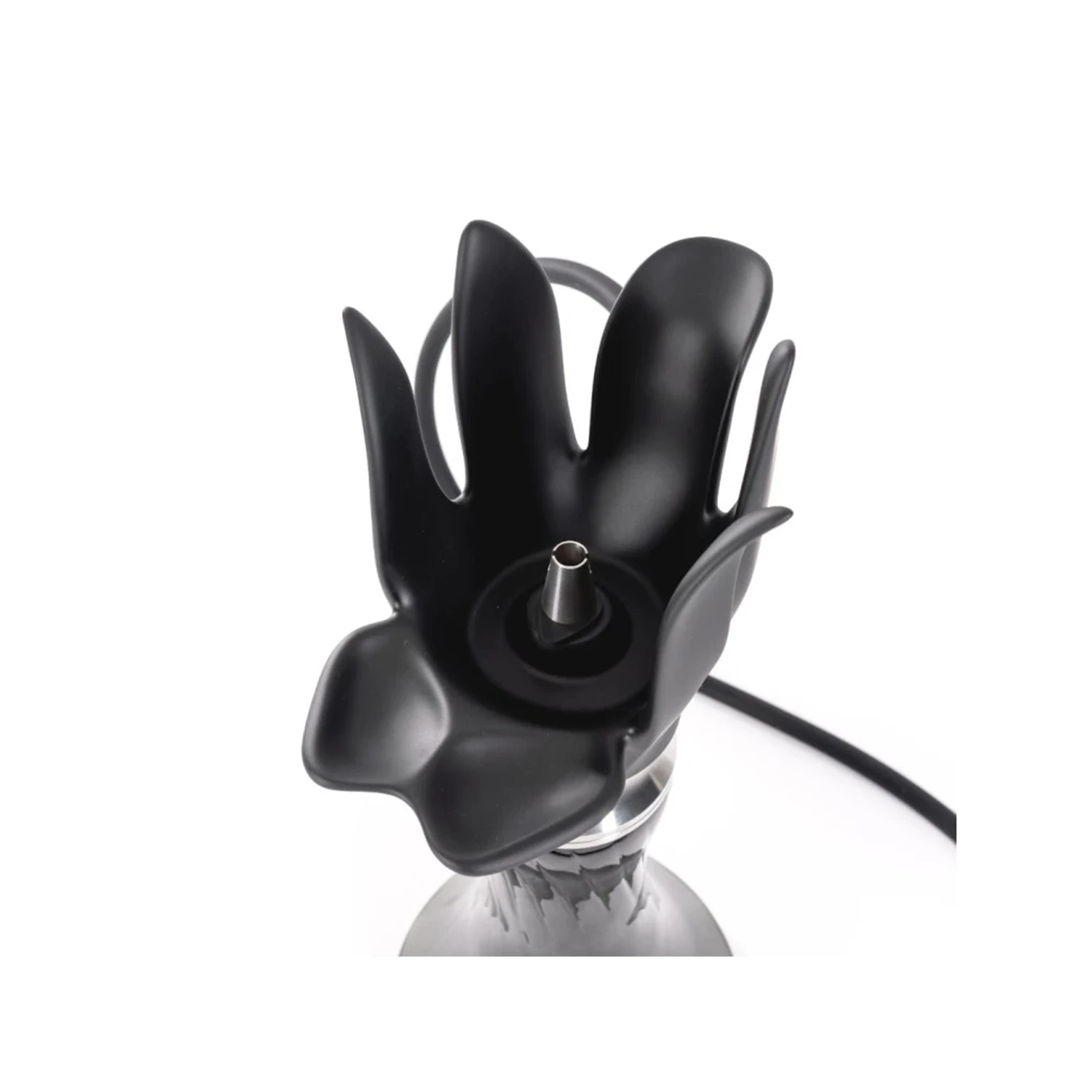 anima-tulip-dark
