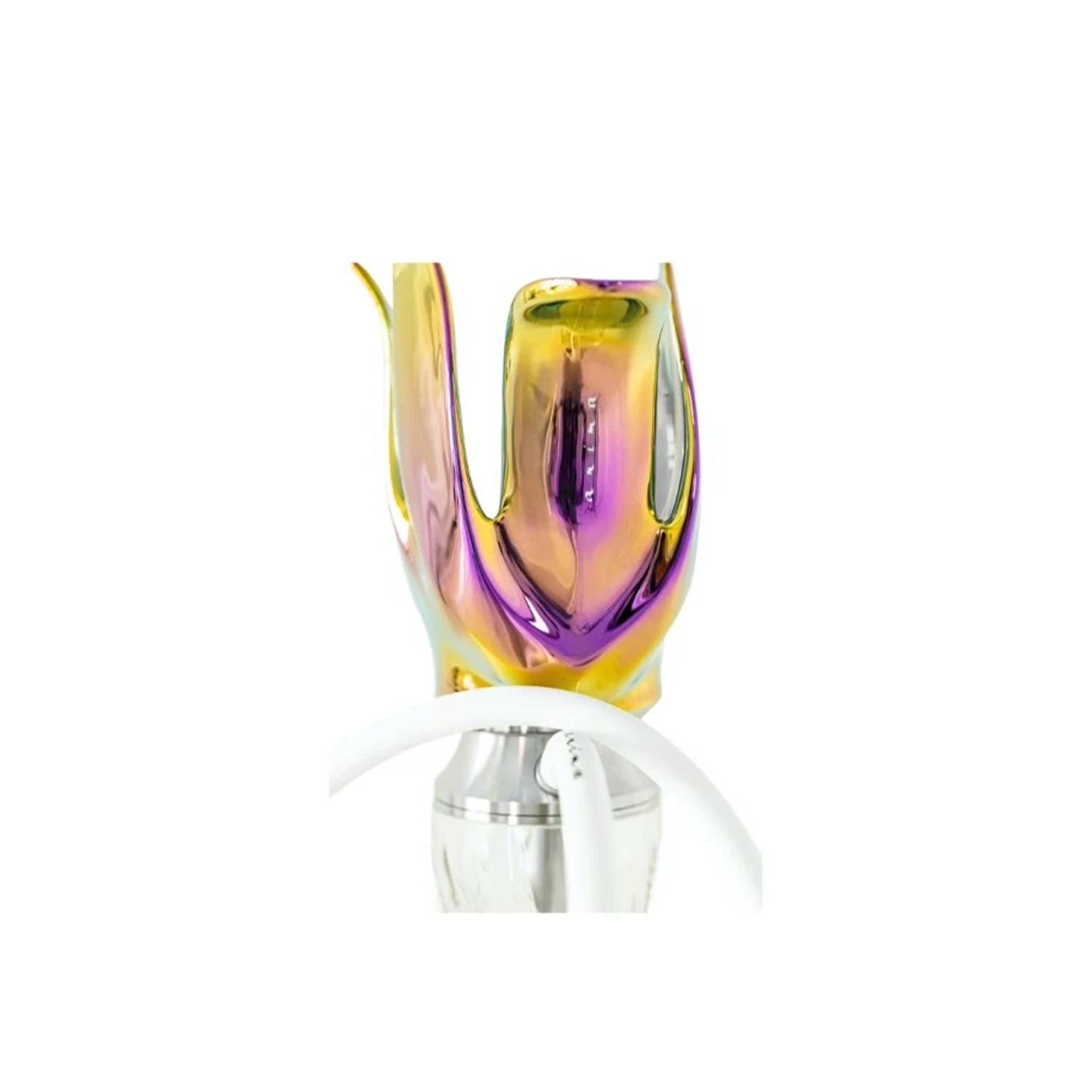 anima-tulip-bloom2