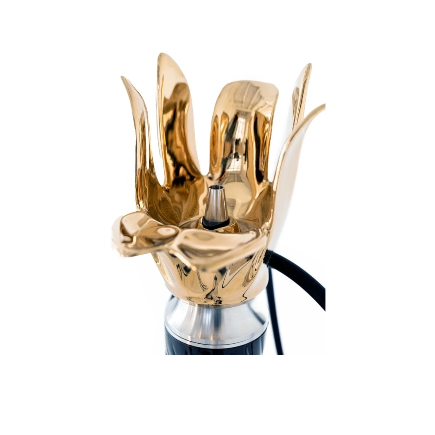 anima-tulip-gold