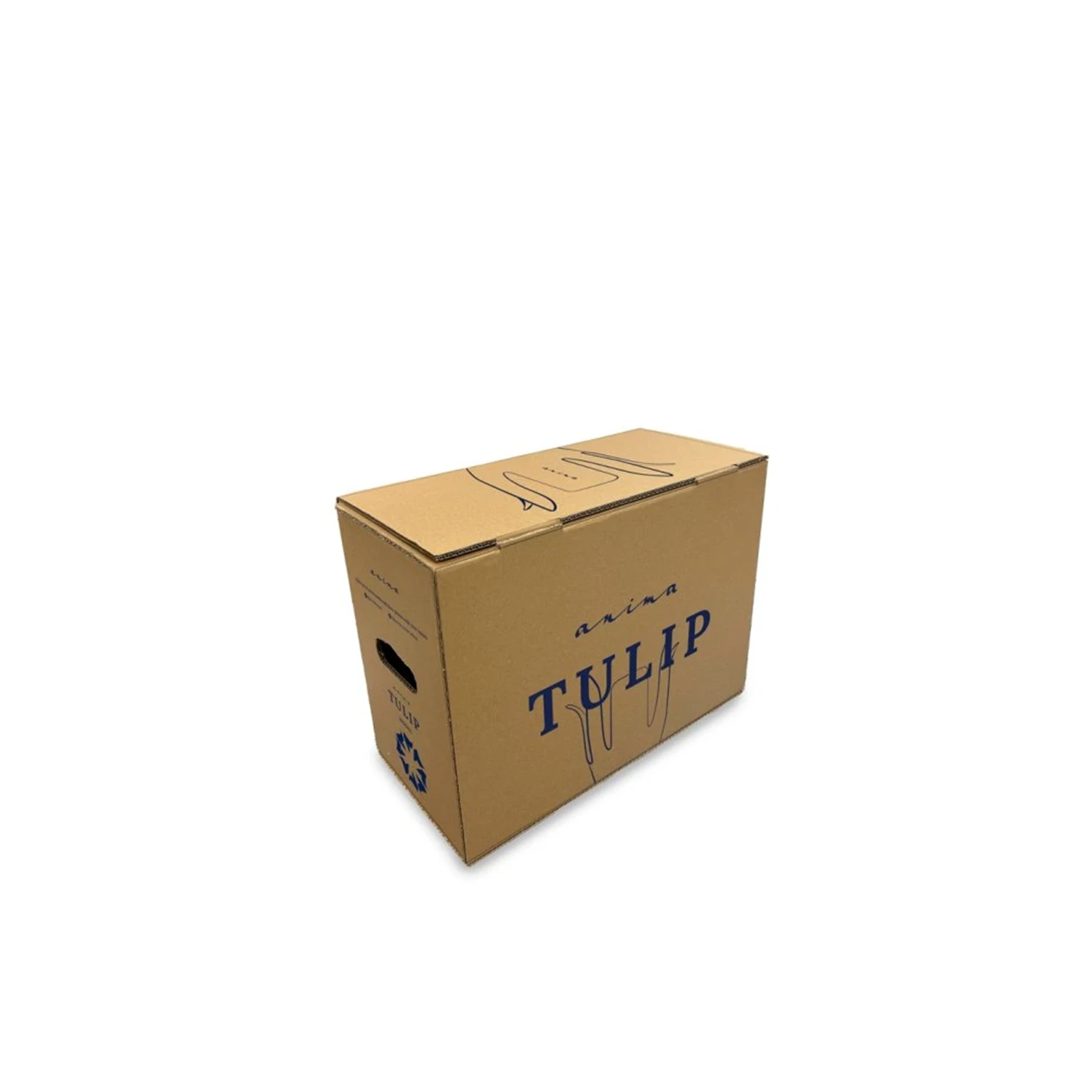 anima-tulip-package