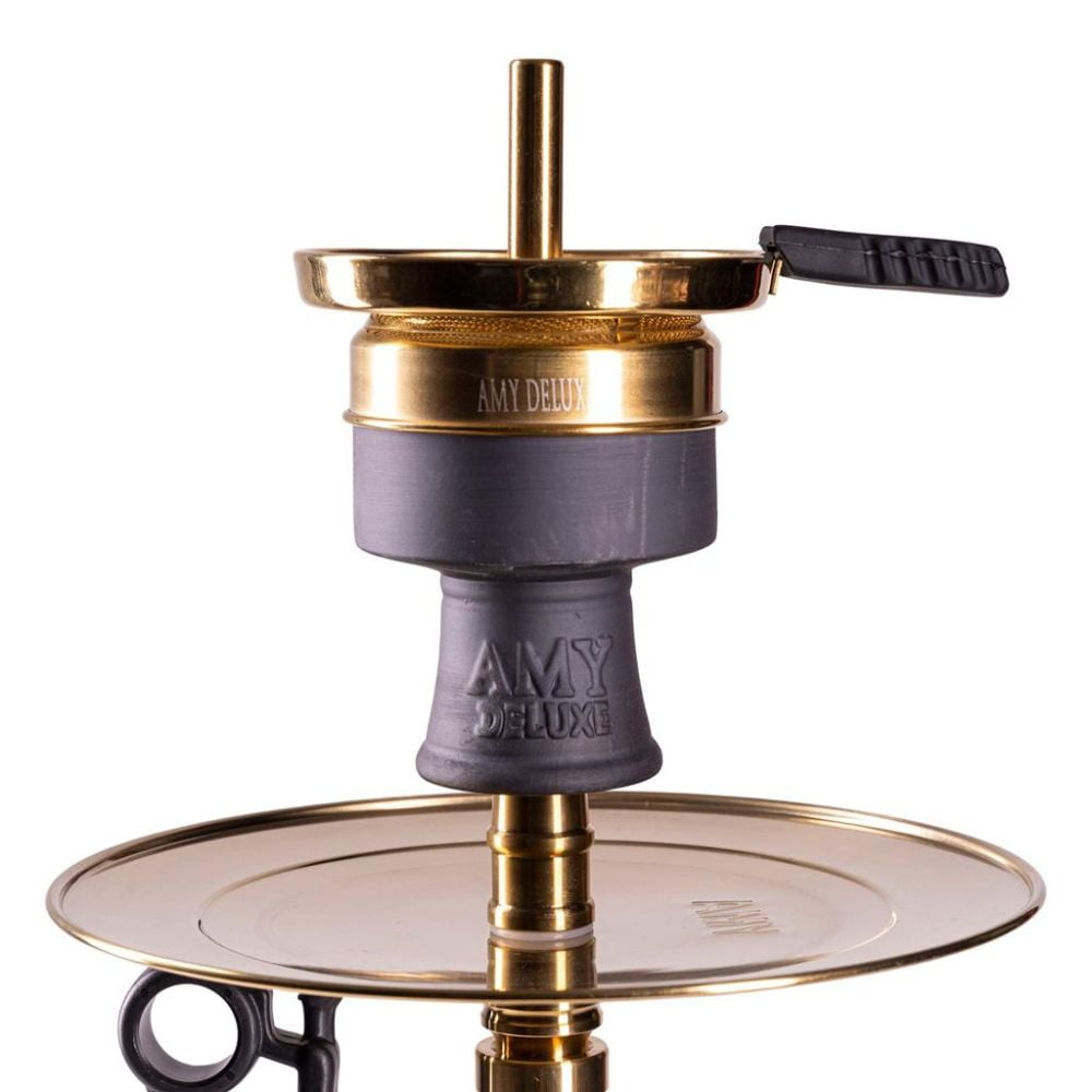 Amy Deluxe Xpress Fame S (3)