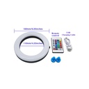 Plate Led Light 6 in